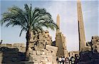 Obelischi di Thutmosi III e Hatshepsut