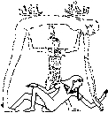 geb