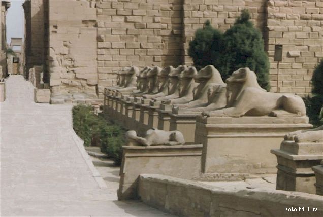 Viale degli Arieti