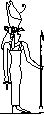 muth