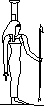 nefti